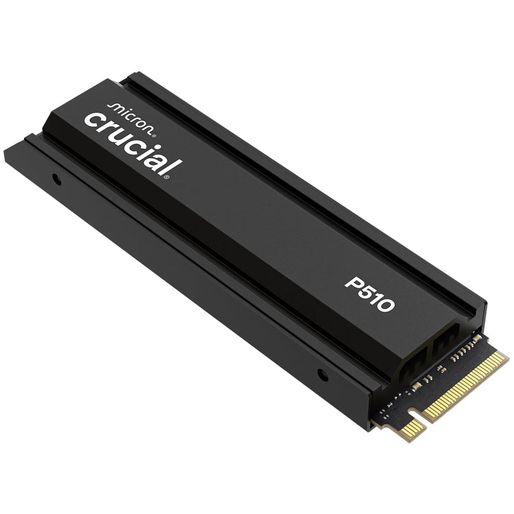 PCIe Gen5 NVMe 2TB SSD with Heatsink B532752