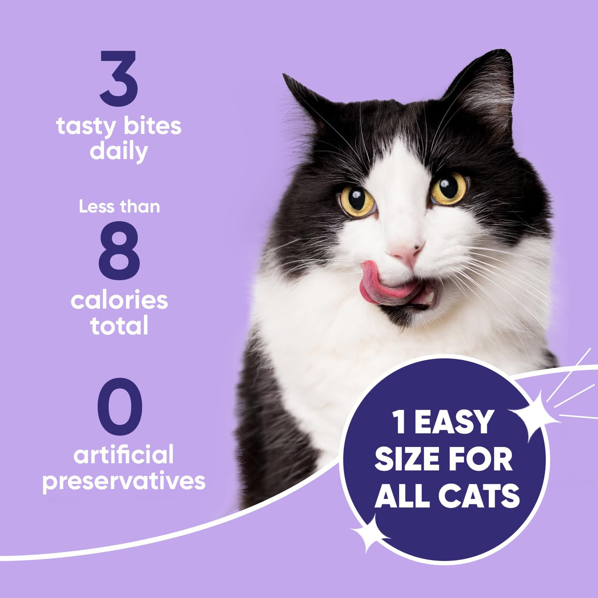 Cat Dental Care F97372