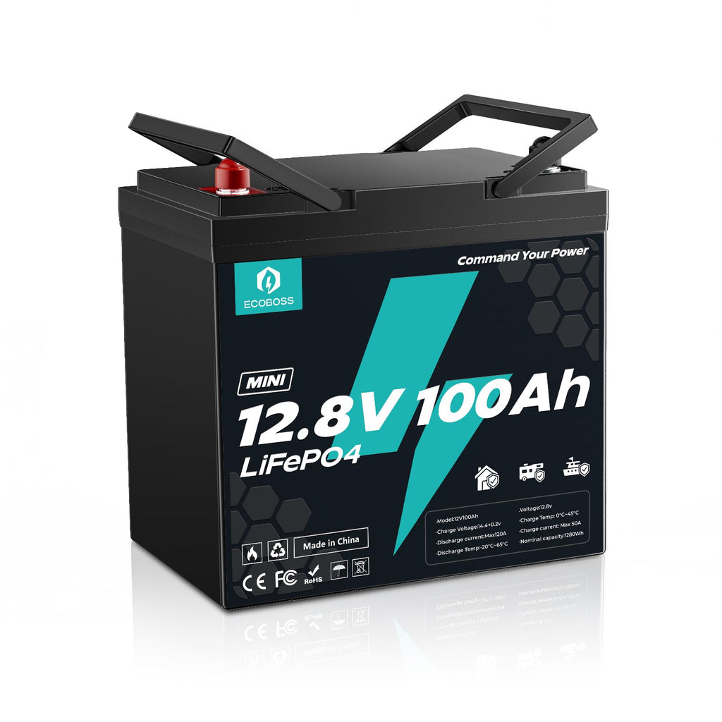 12V 100Ah Mini Lithium Battery M541301
