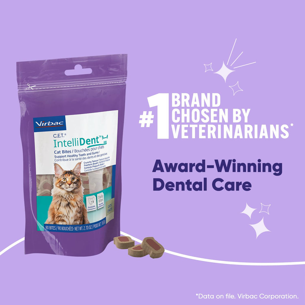 Cat Dental Care F97372