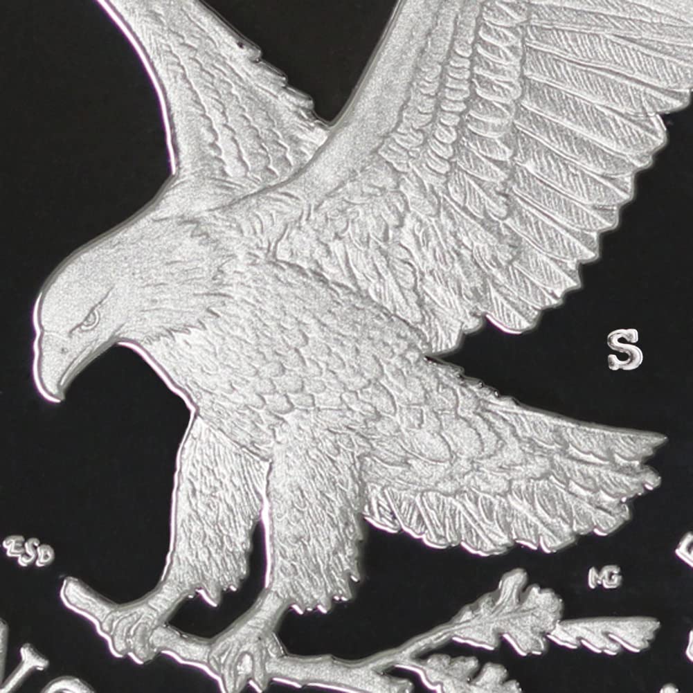 1 oz American Silver Eagle Coin V5960