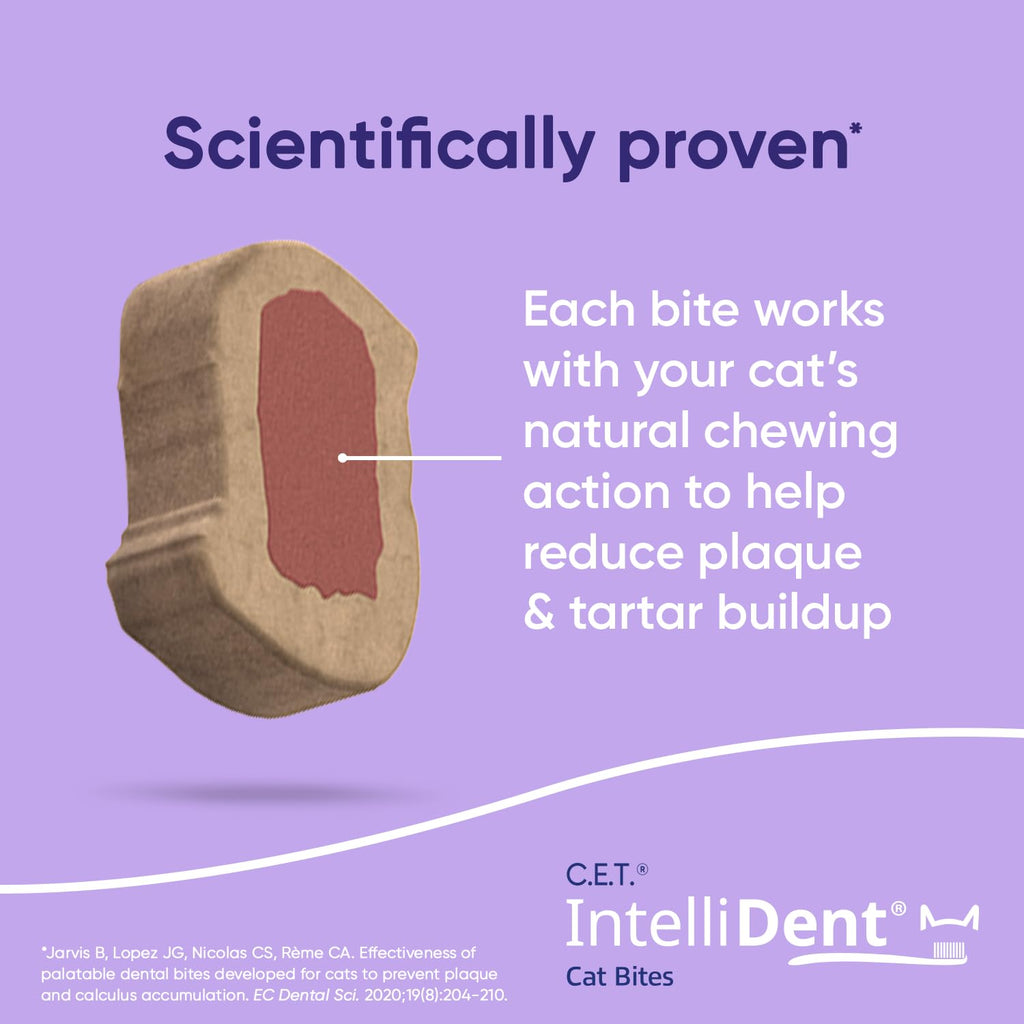 Cat Dental Care F97372