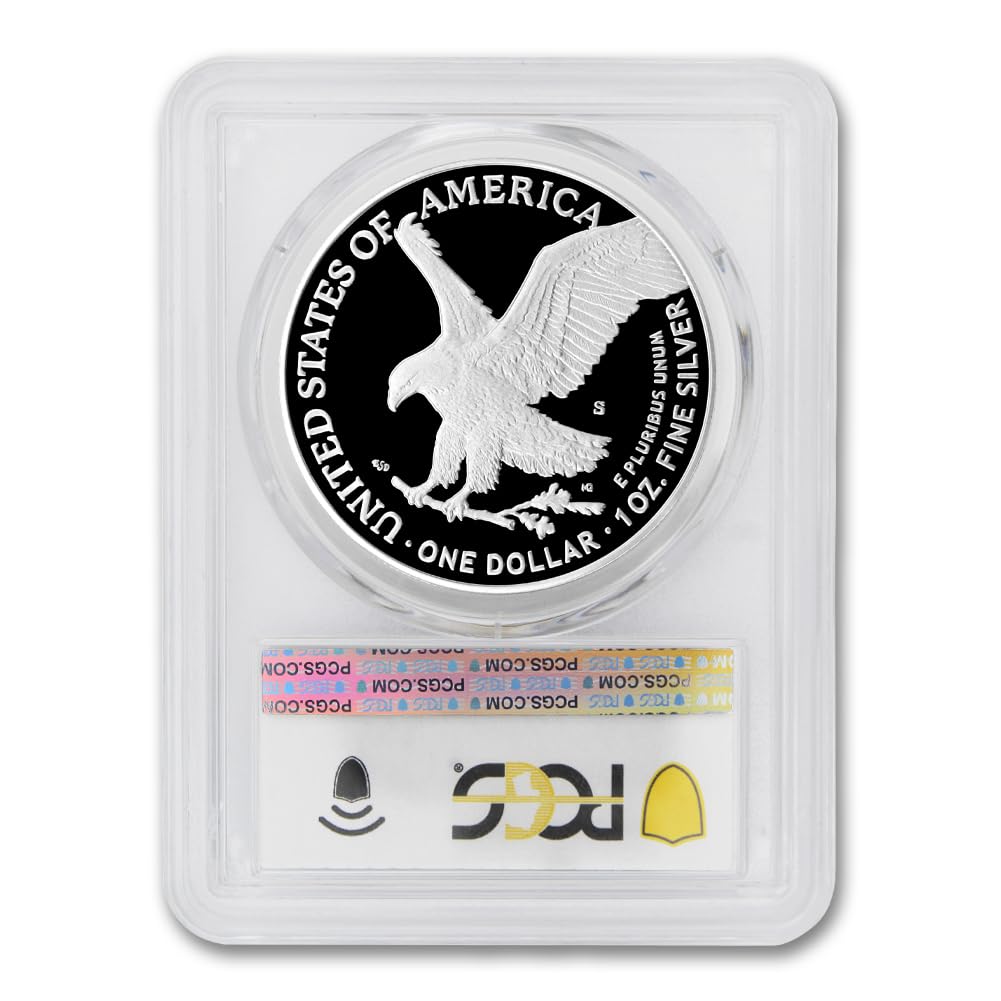 1 oz American Silver Eagle Coin V5960