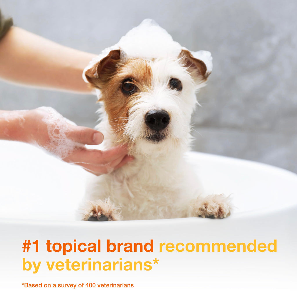 Medicated Dog Shampoo with 3% Chlorhexidine 6.7 fl oz E169