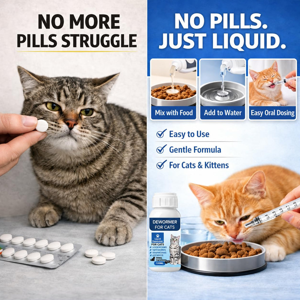 Broad Spectrum Cat Dewormer Liquid 4 oz L851