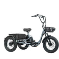 Folding Electric Tricycle for Adults 2 Seater 1000W 48V 15AH W532748