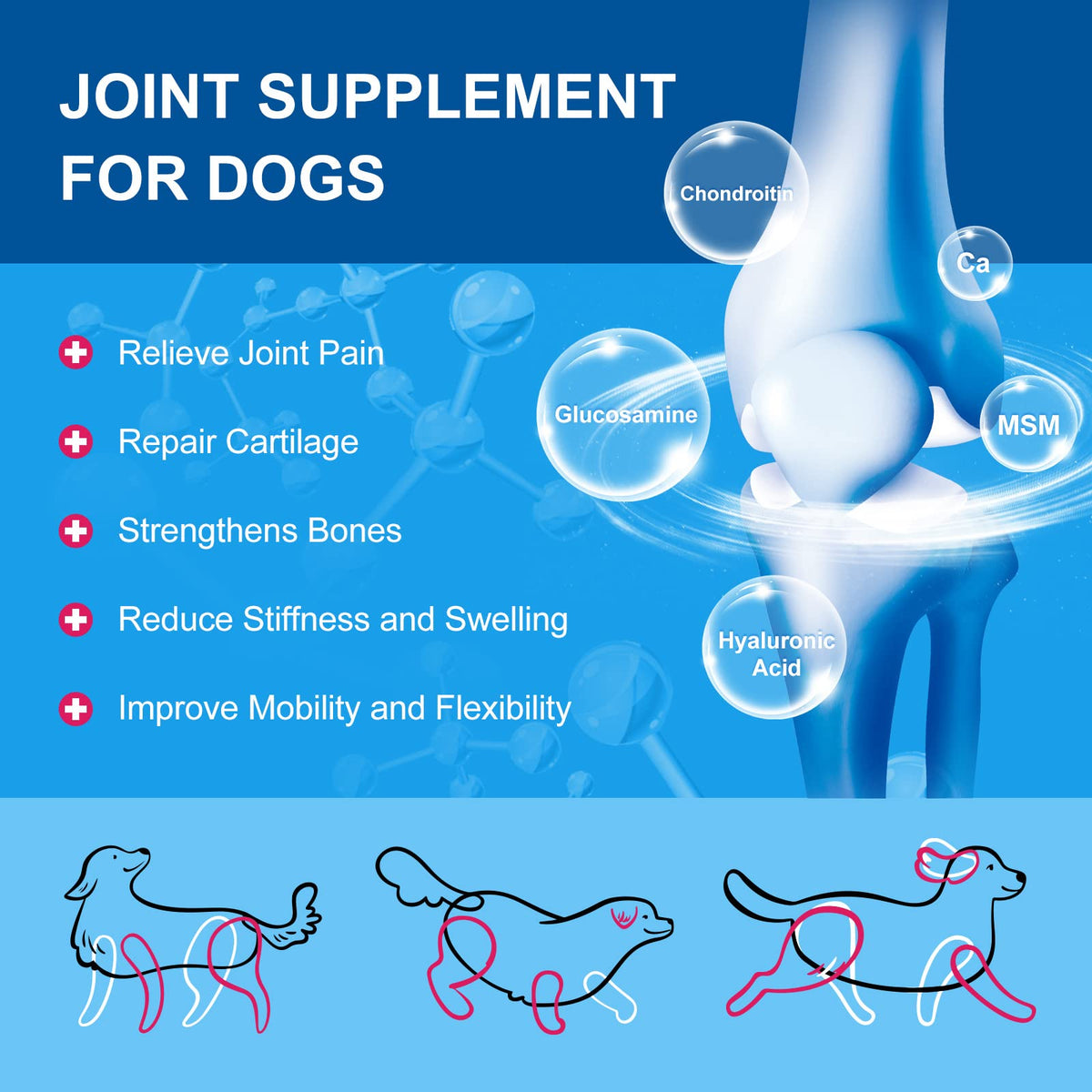 Dog Vitamins Powder D845716