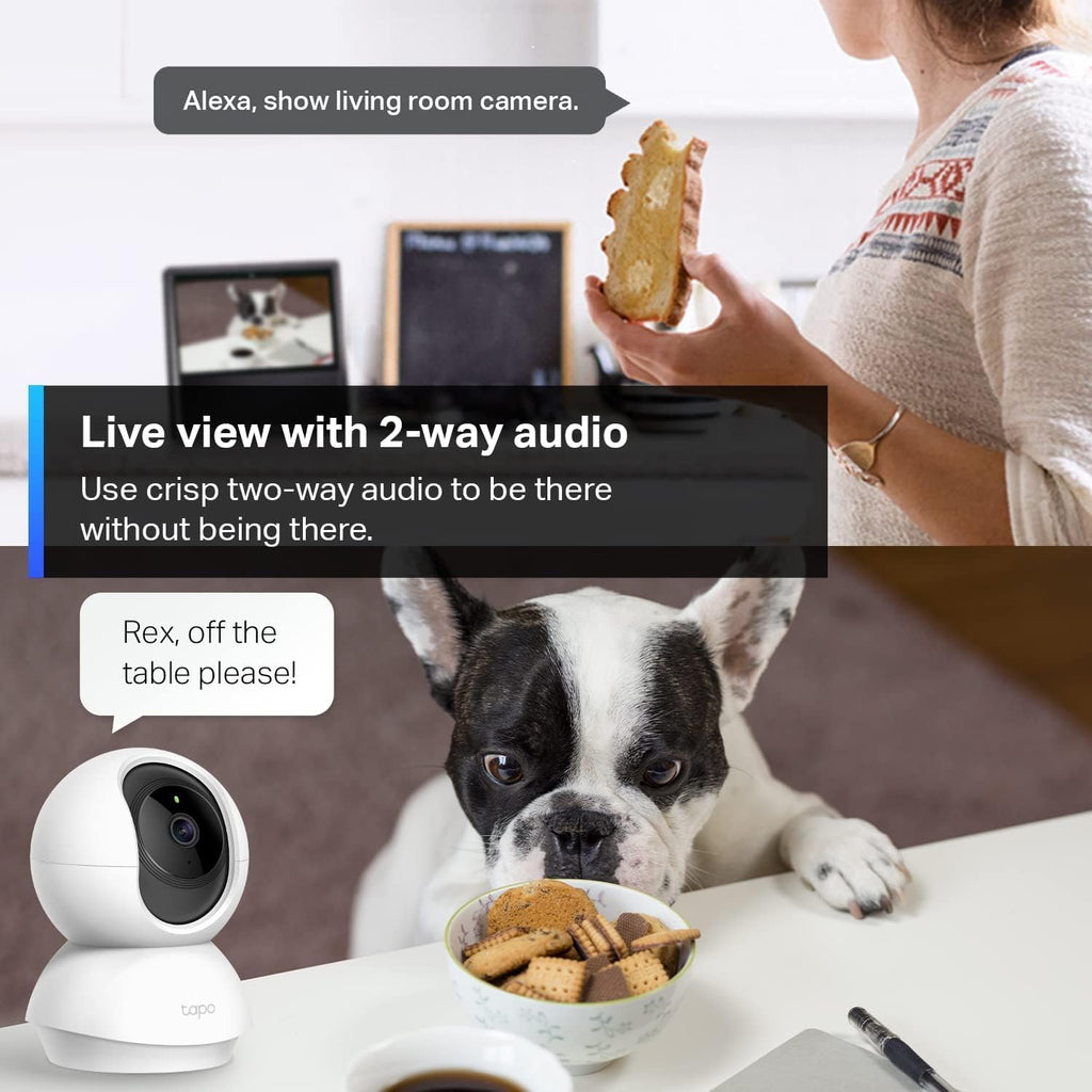 1080p Pan/Tilt Security Camera B396