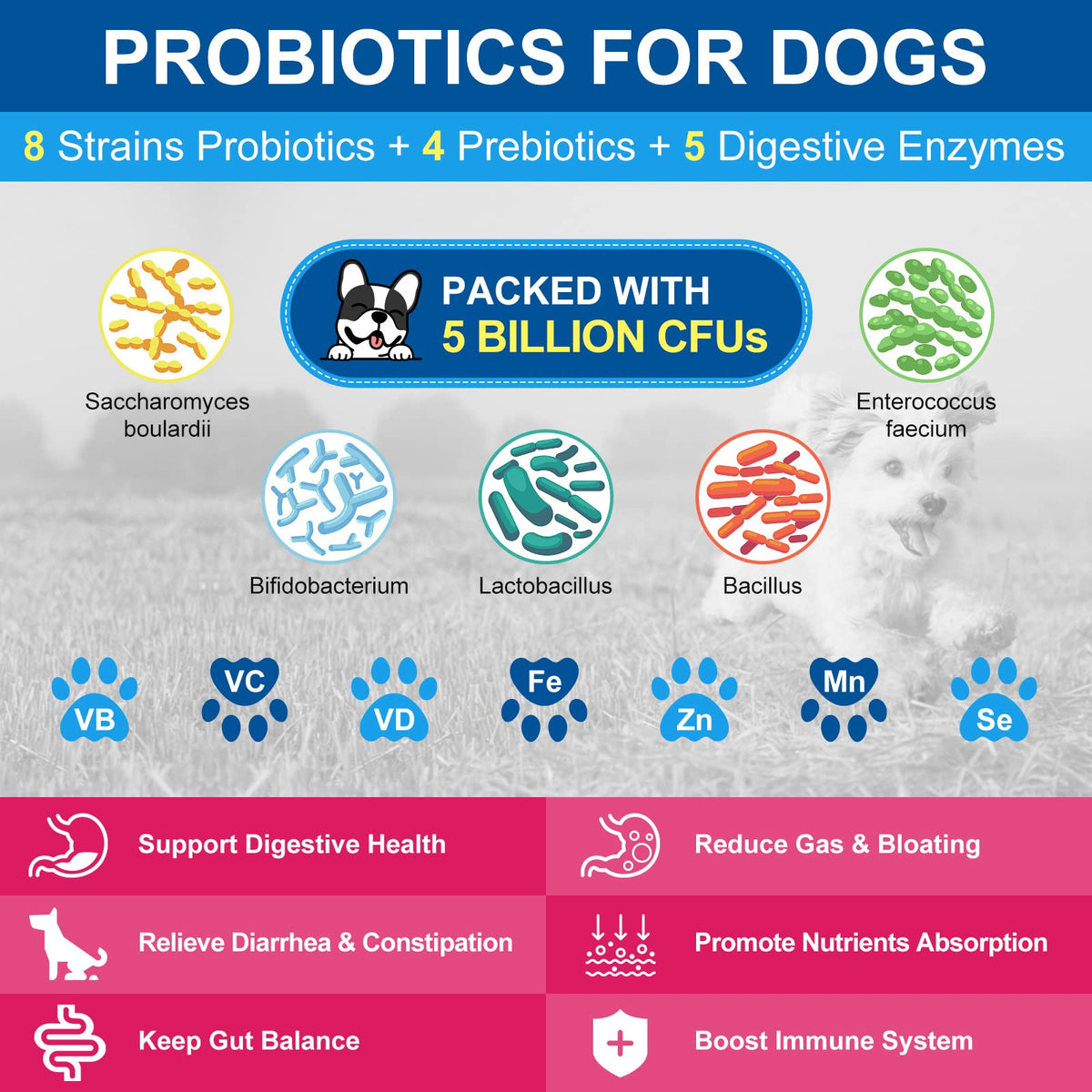 Dog Vitamins Powder D845716