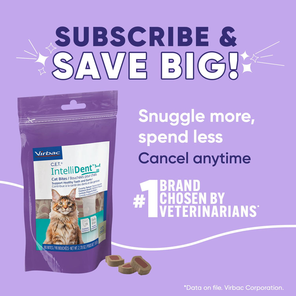 Cat Dental Care F97372