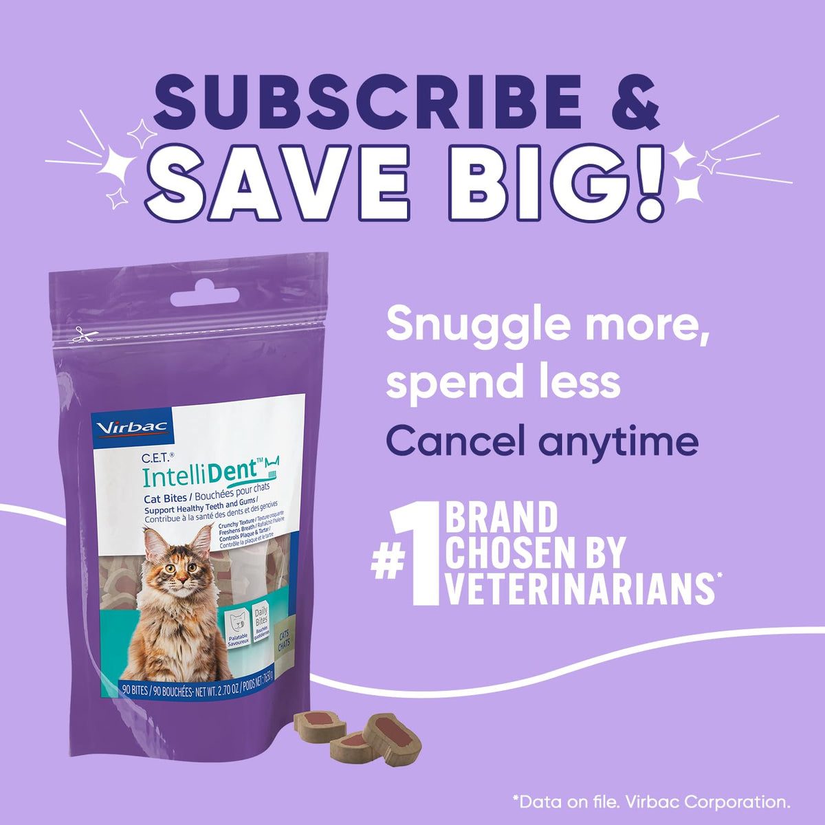 Cat Dental Care F97372