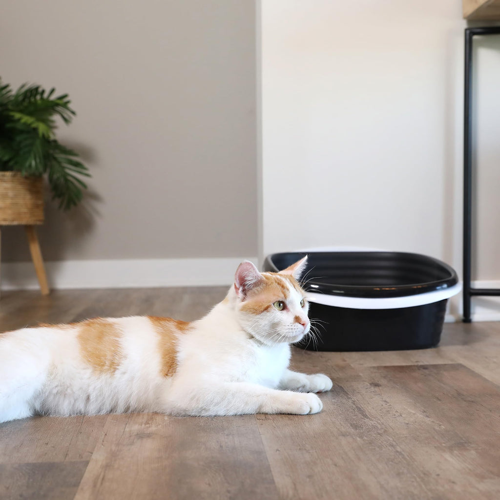 Large Sifting Cat Litter Box B39830