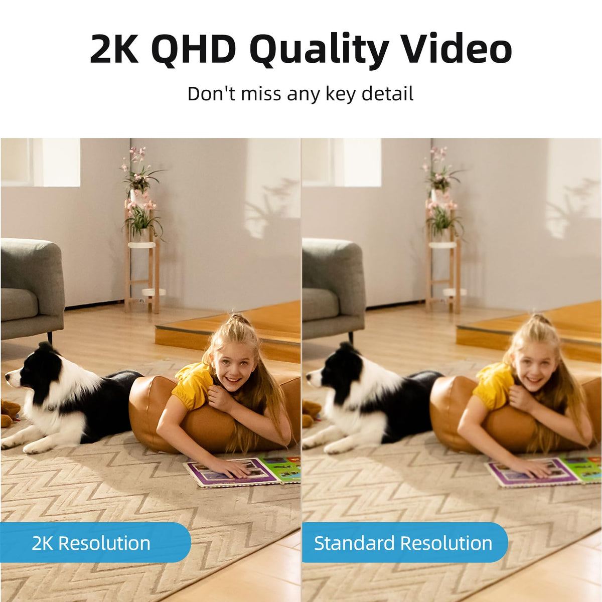 2K Indoor Camera A695