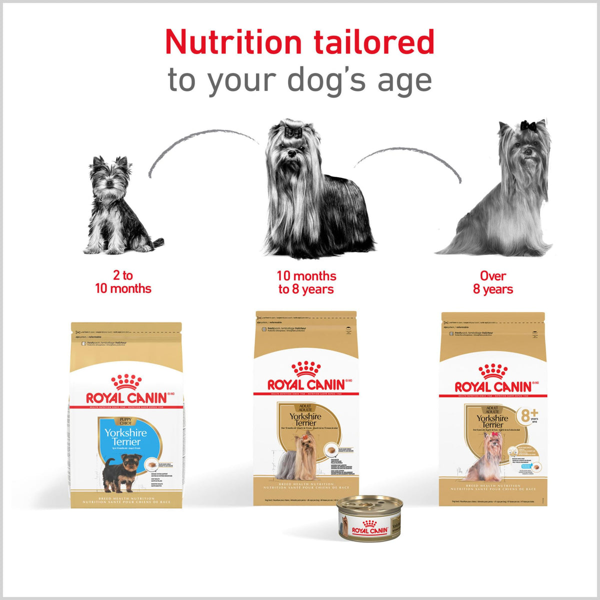 Adult Dry Dog Food, 10 lb Bag G7318