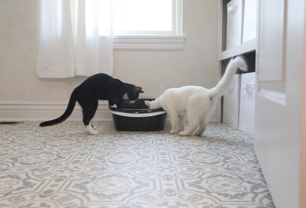 Large Sifting Cat Litter Box B39830