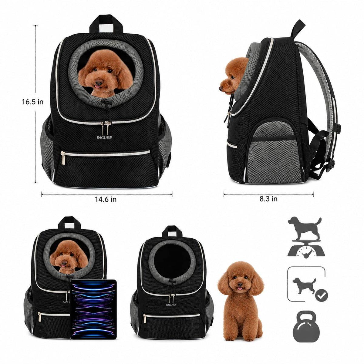 Black Dog Carrier Backpack O7919