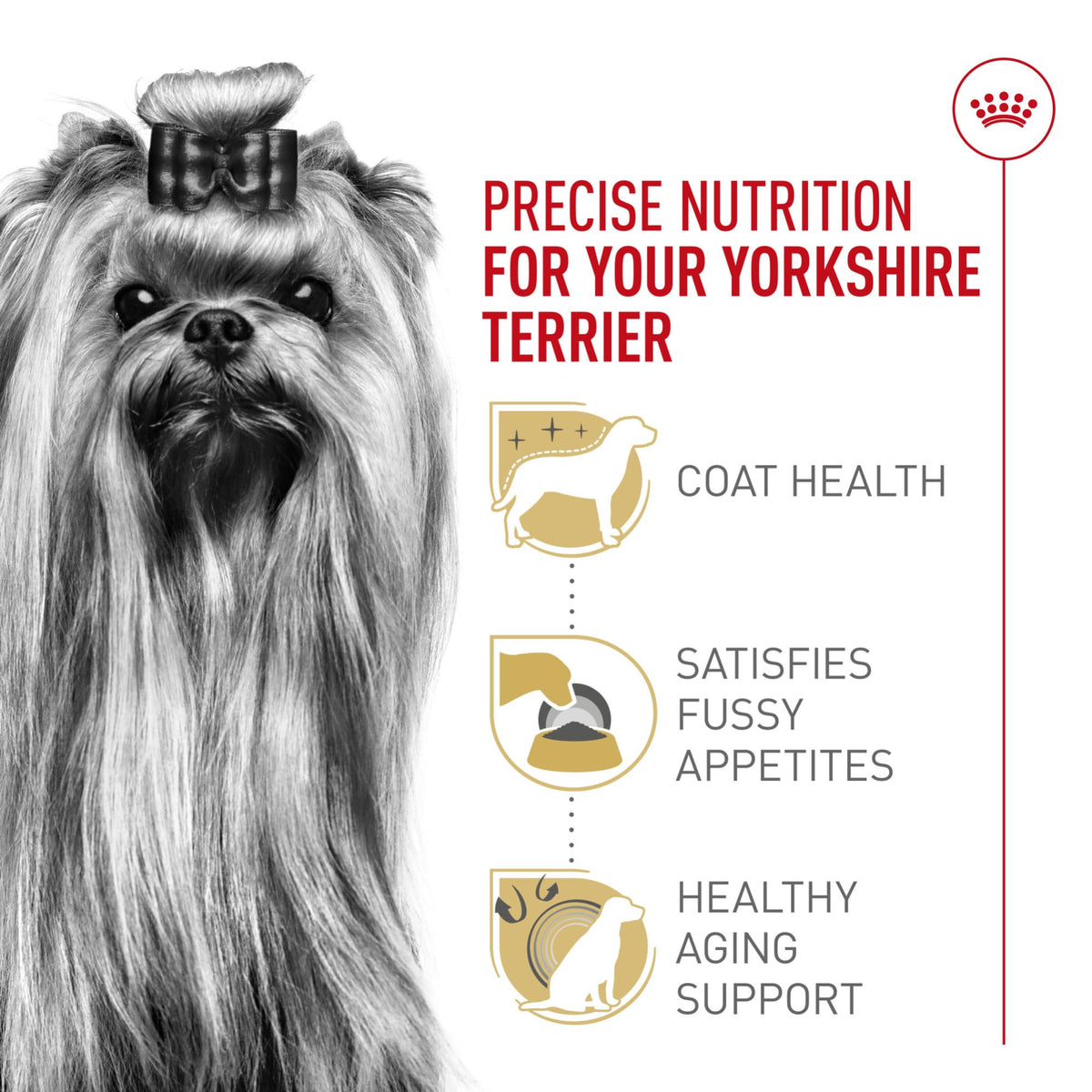 Adult Dry Dog Food, 10 lb Bag G7318