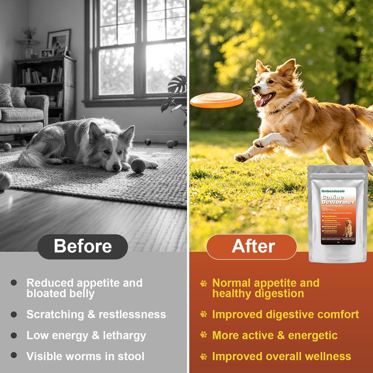 Dog Dewormer 100g R418
