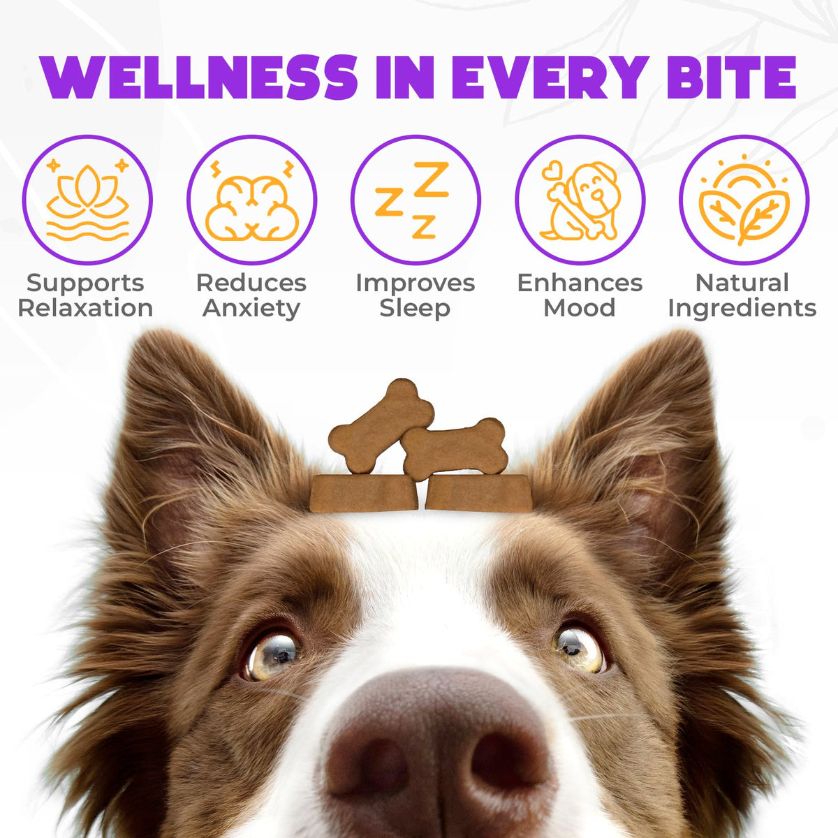 Chicken Flavor 60 Count Calming Chews for Dogs A101