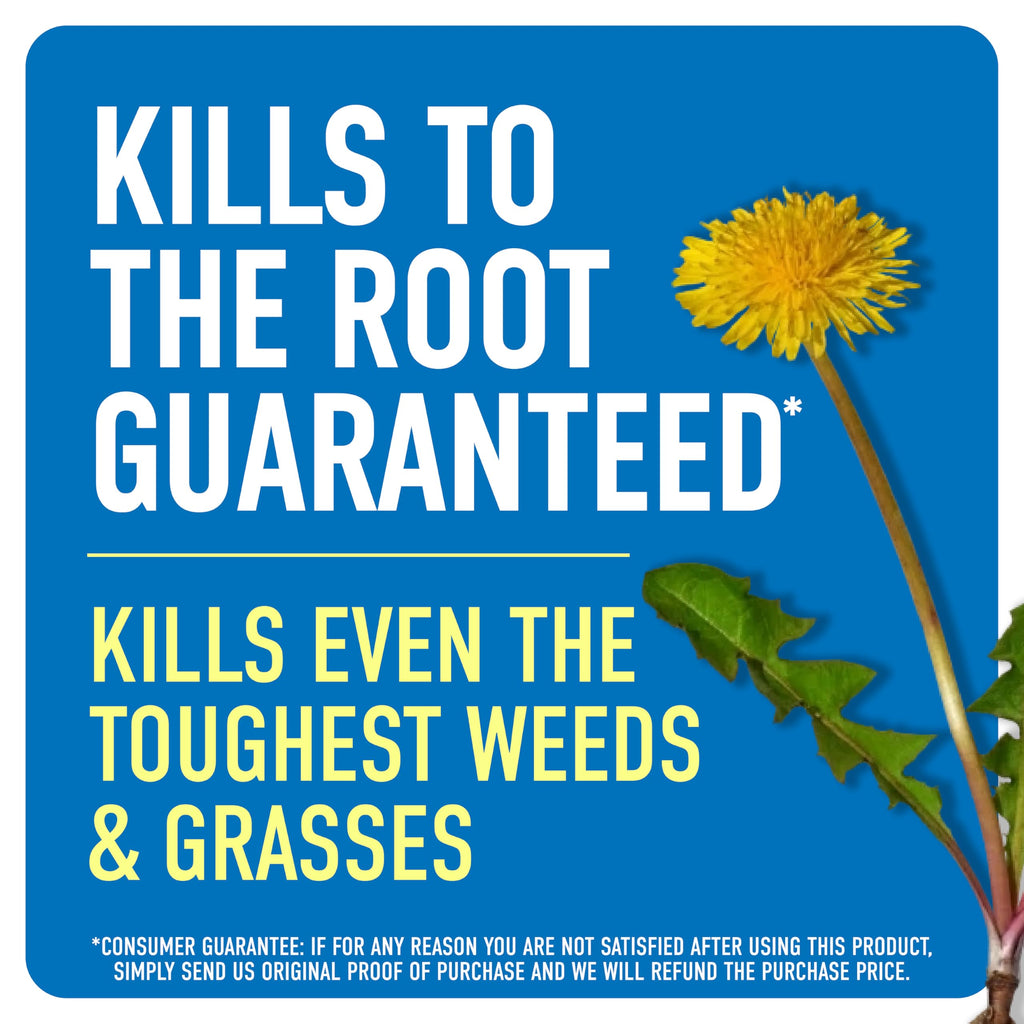 Roundup Weed & Grass Killer₄ with Comfort Wand, 1 gal. V77374