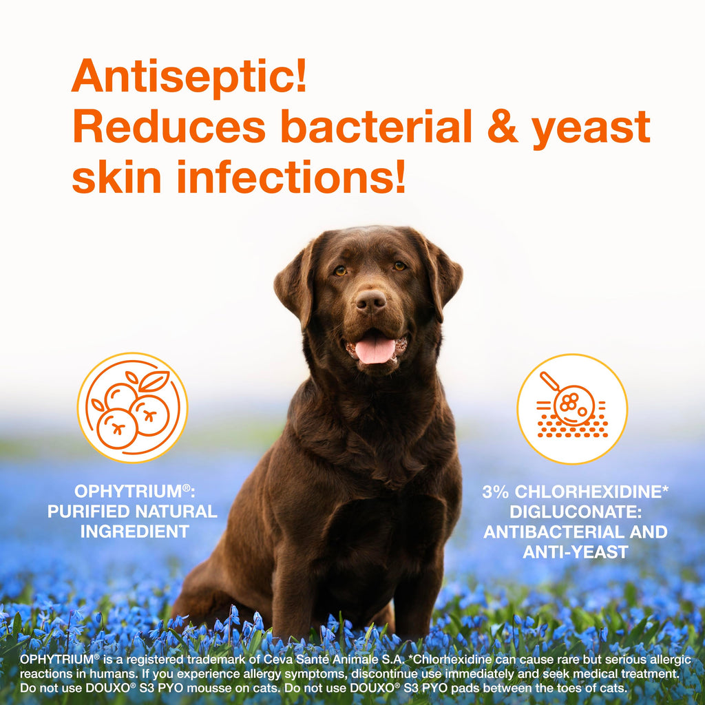 Medicated Dog Shampoo with 3% Chlorhexidine 6.7 fl oz E169
