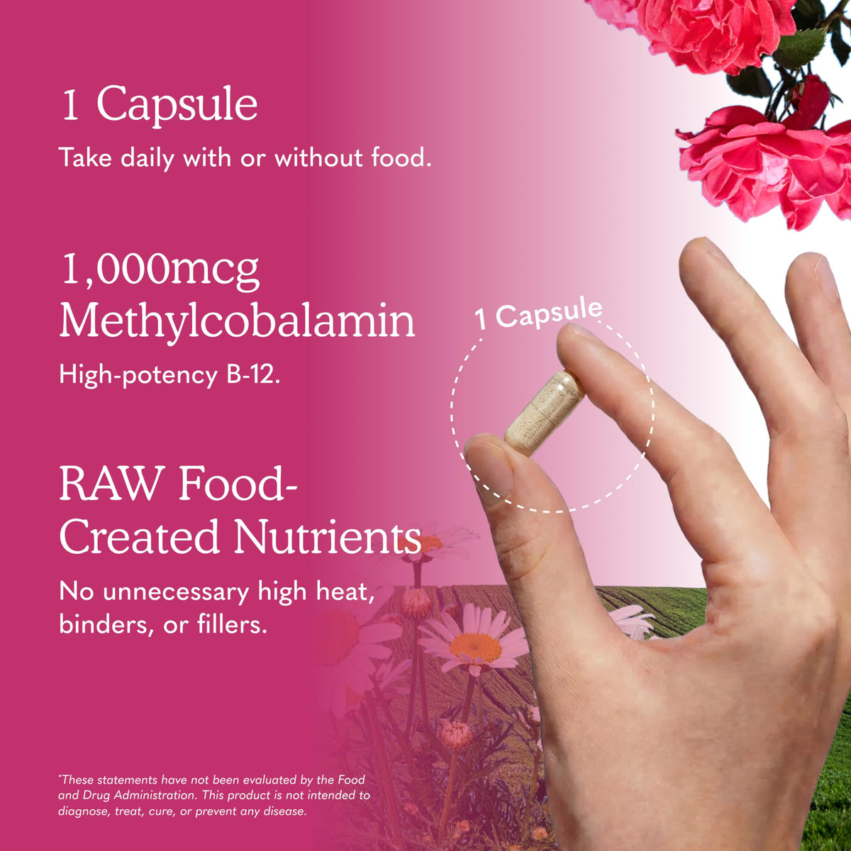 Vegan B-12 Methylcobalamin 30 Capsules H580