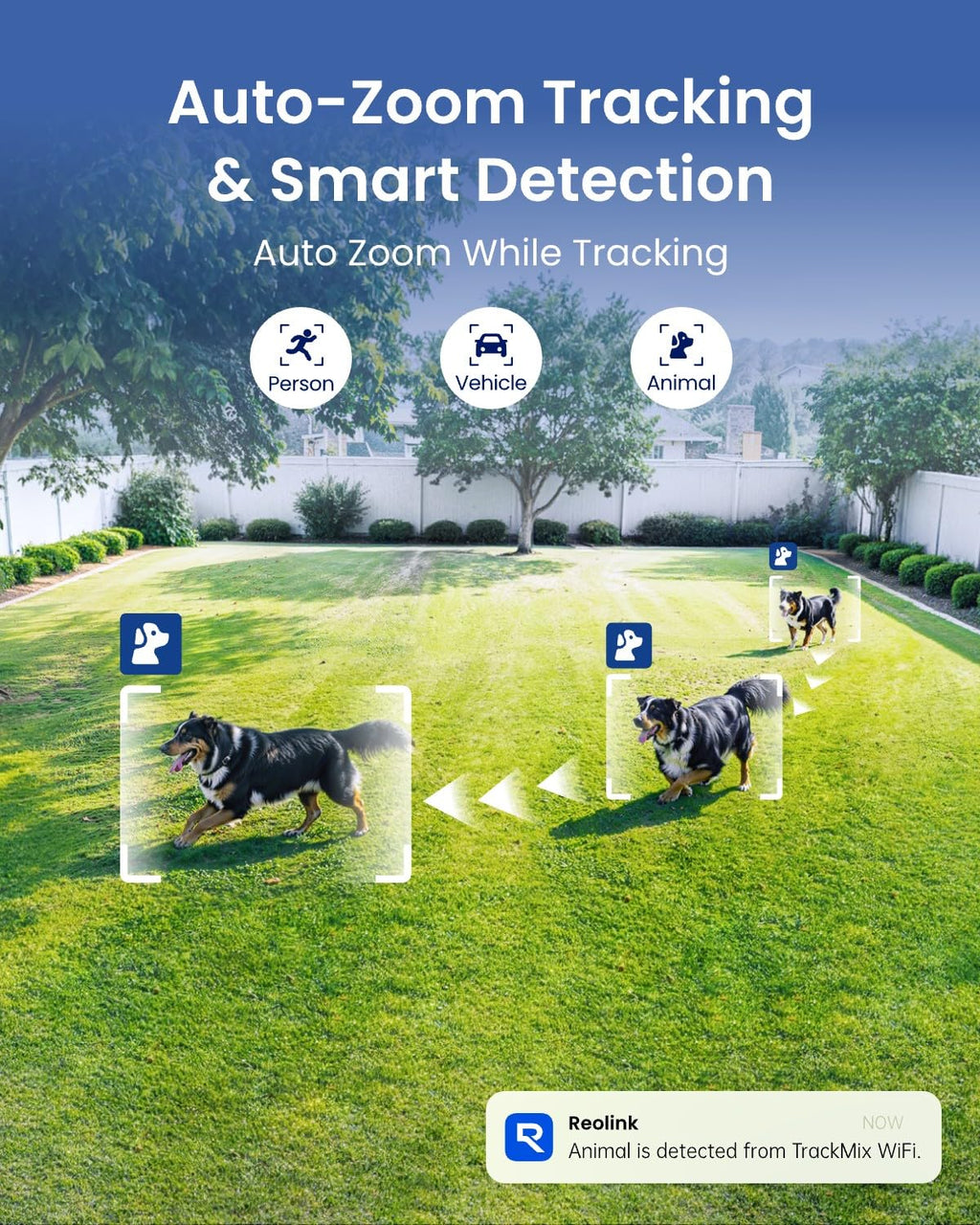 4K 8MP Dual-Lens PTZ Outdoor Security Camera Q1581
