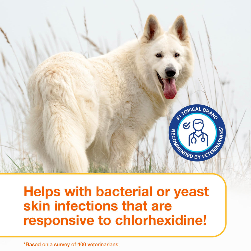 Medicated Dog Shampoo with 3% Chlorhexidine 6.7 fl oz E169