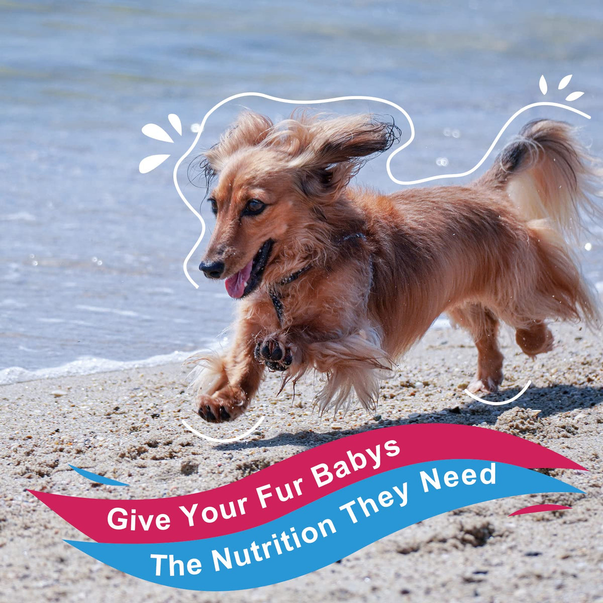 Dog Vitamins Powder D845716
