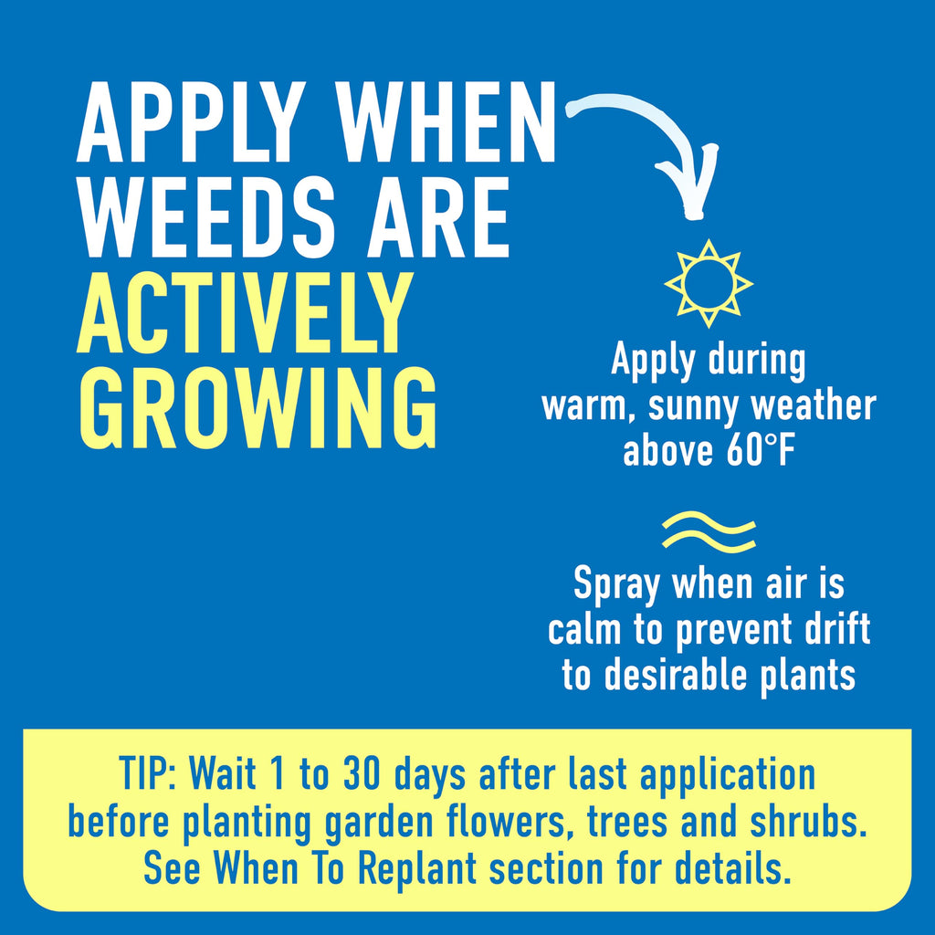 Roundup Weed & Grass Killer₄ with Comfort Wand, 1 gal. V77374
