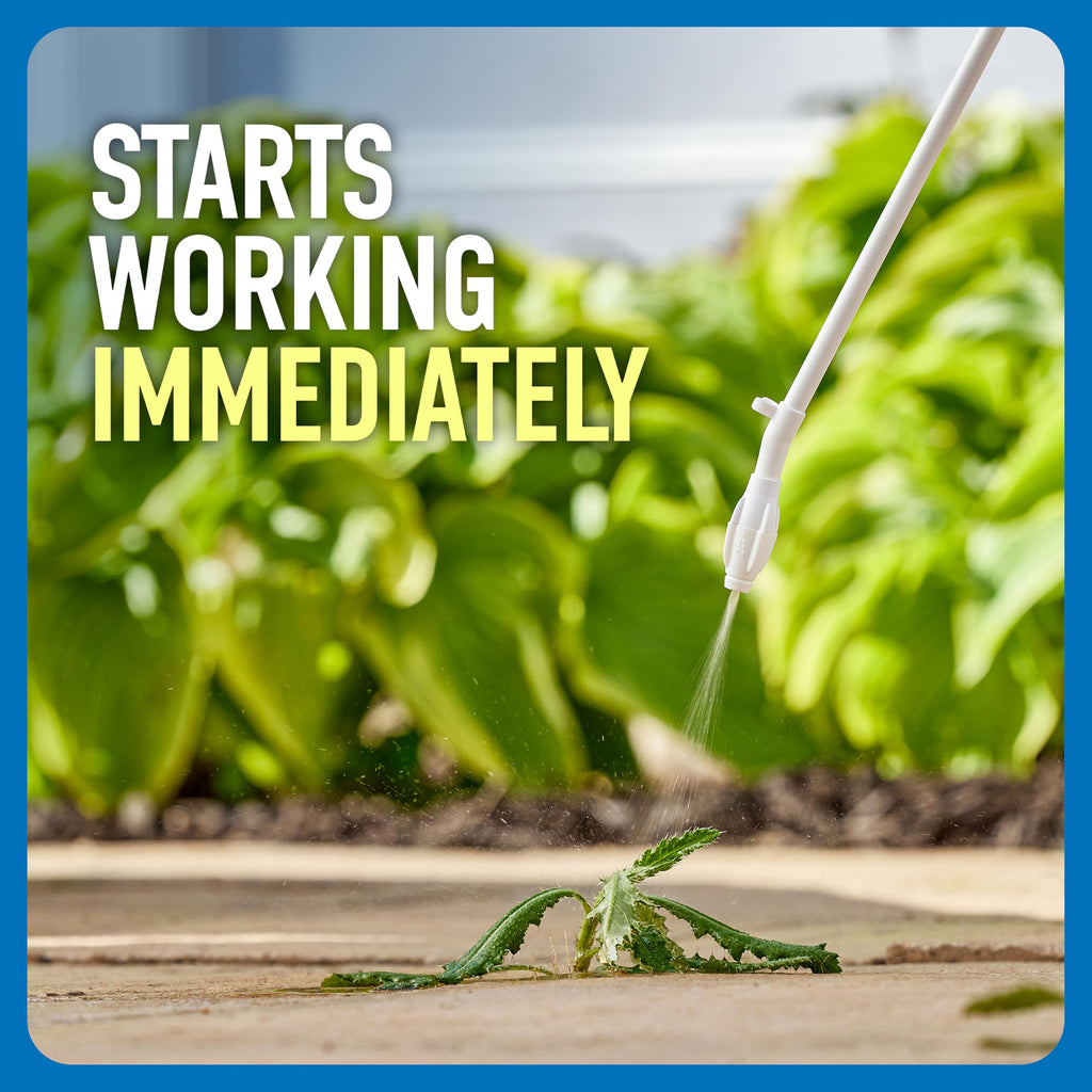 Roundup Weed & Grass Killer₄ with Comfort Wand, 1 gal. V77374