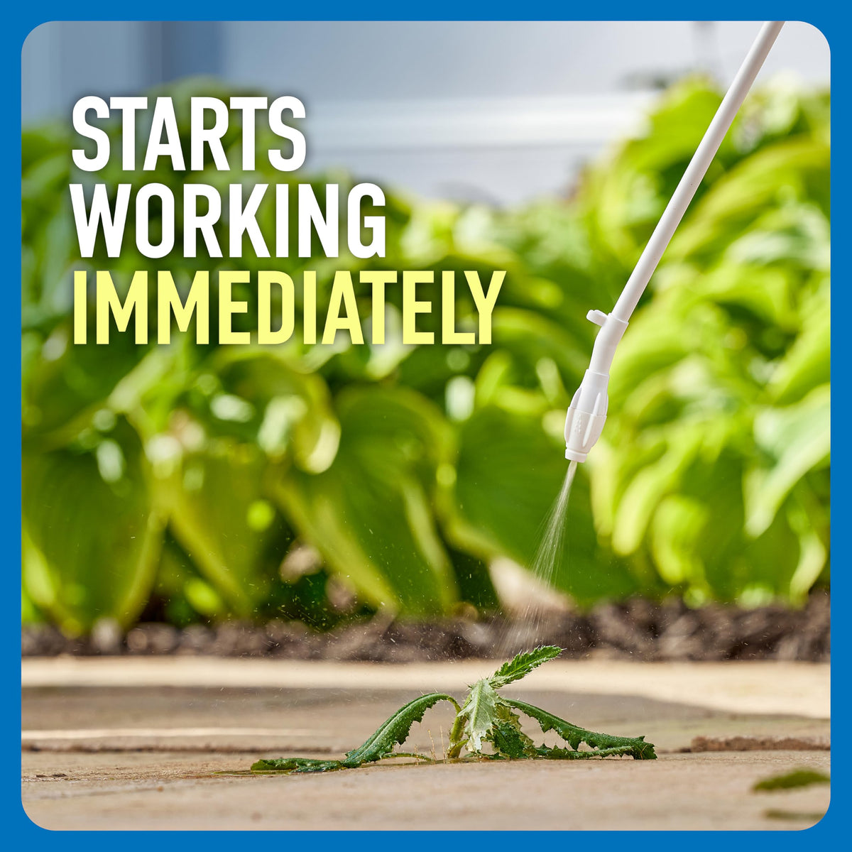 Roundup Weed & Grass Killer₄ with Comfort Wand, 1 gal. V77374