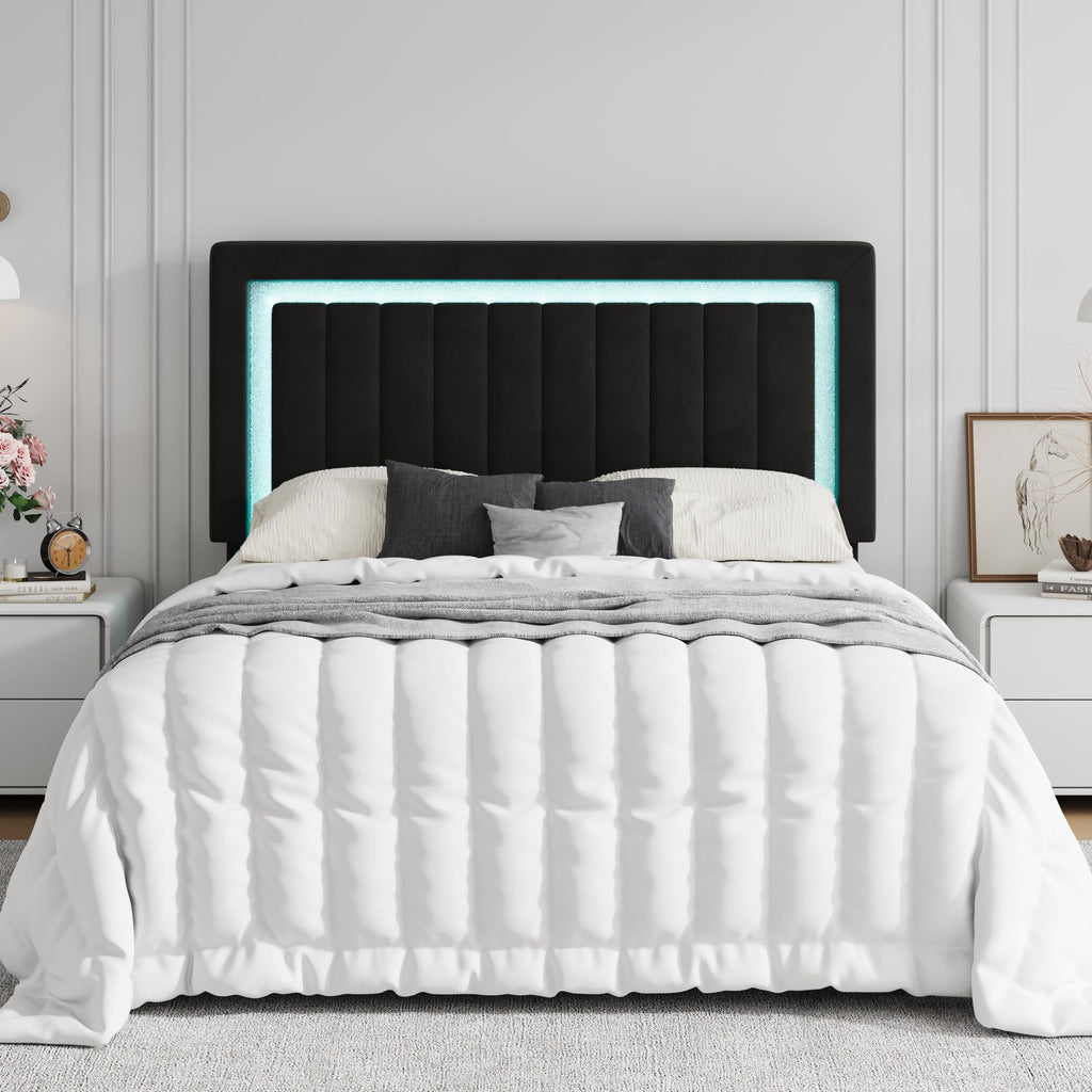 Queen Size Black Velvet Bed Frame with LED Light Z228