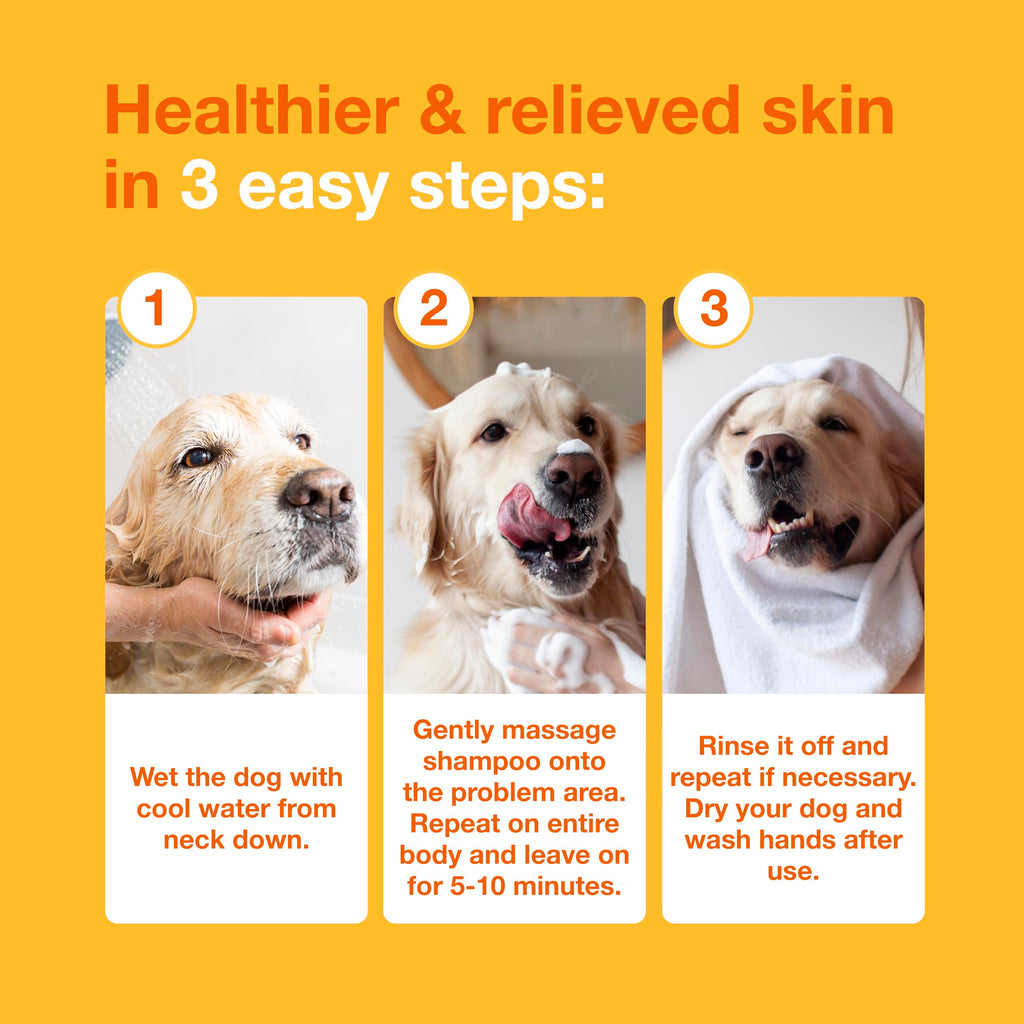 Medicated Dog Shampoo with 3% Chlorhexidine 6.7 fl oz E169