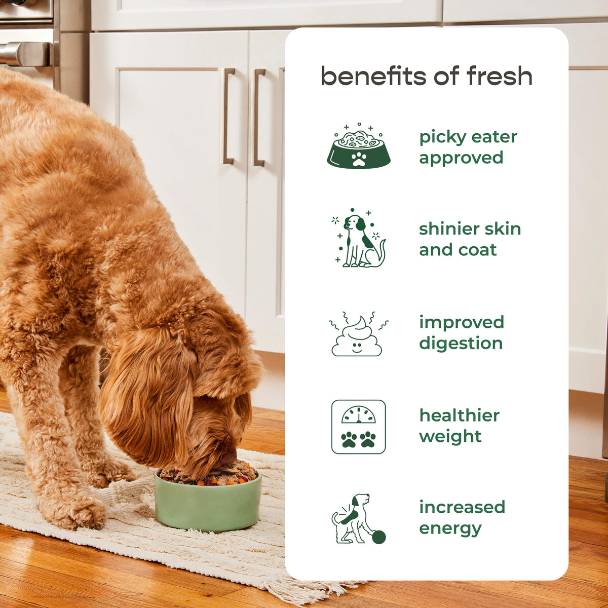 Dog Food Roll 16 Oz H5461