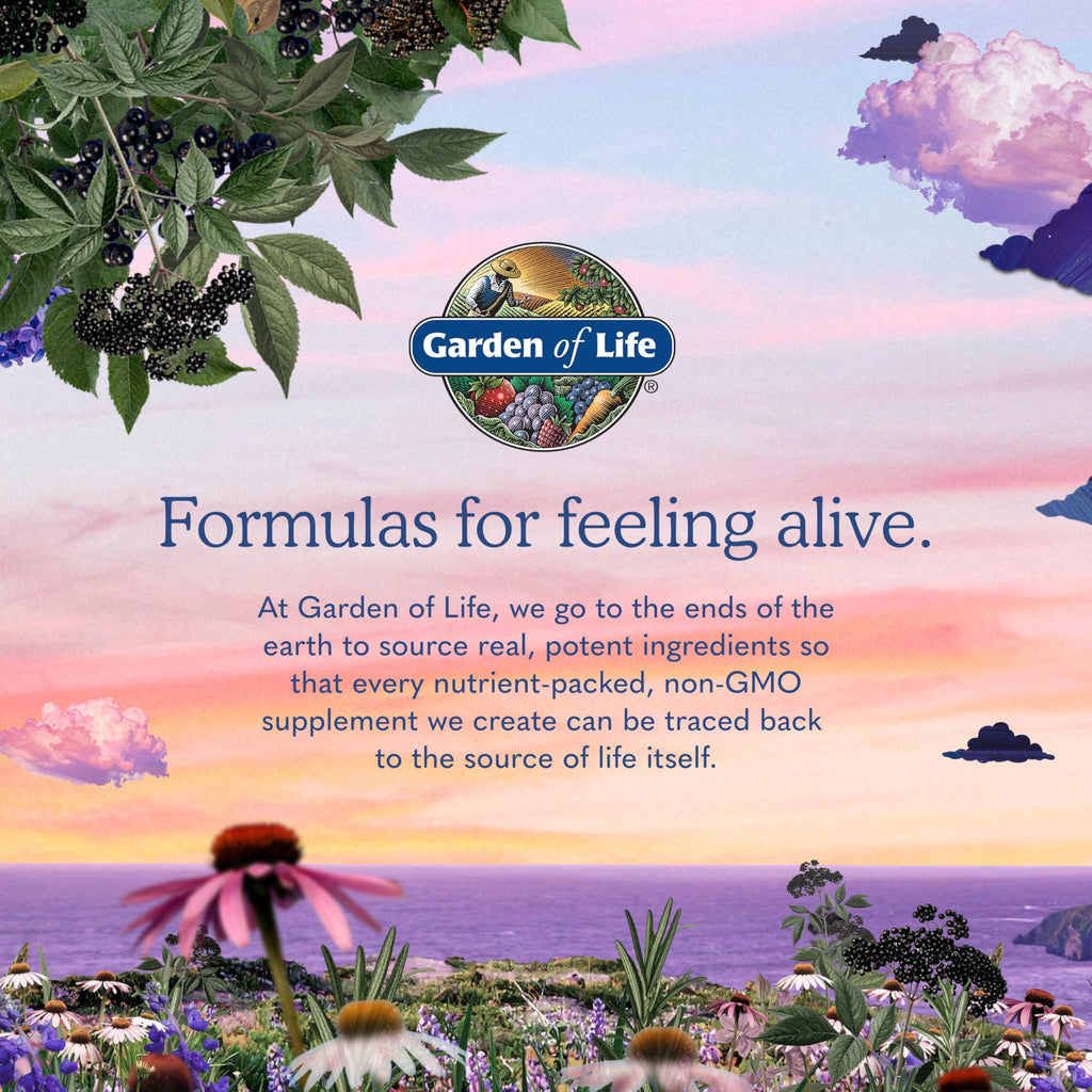 Vegan B-12 Methylcobalamin 30 Capsules H580