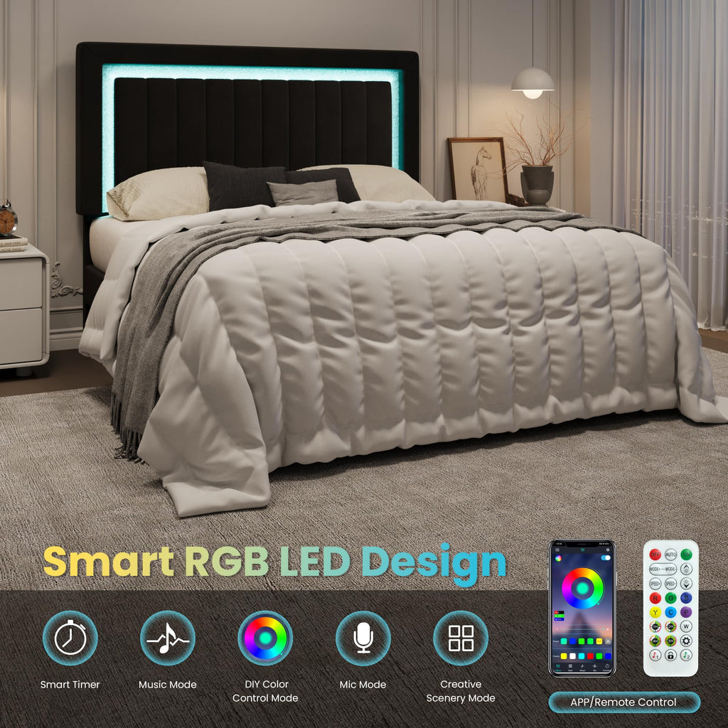 Queen Size Black Velvet Bed Frame with LED Light Z228