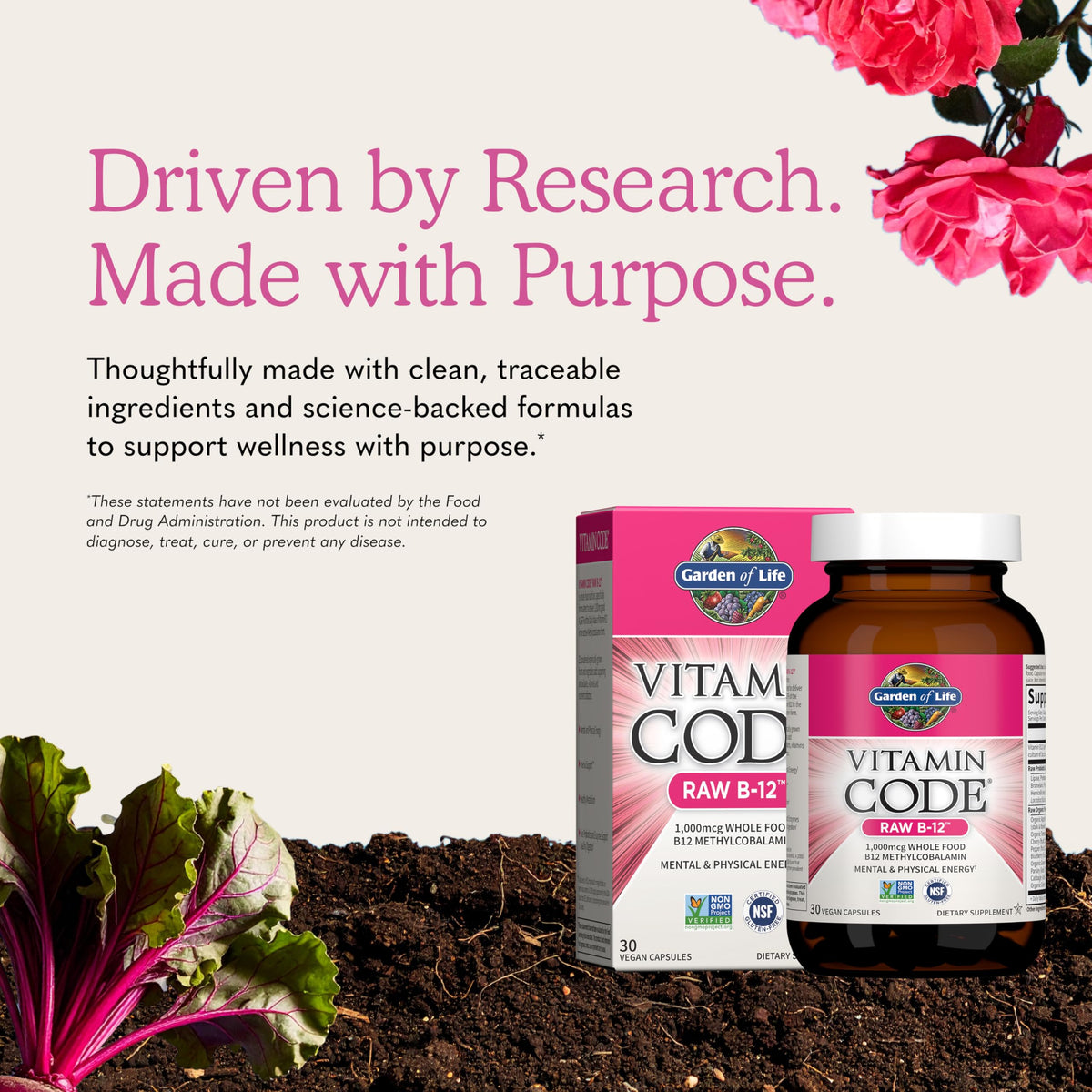 Vegan B-12 Methylcobalamin 30 Capsules H580